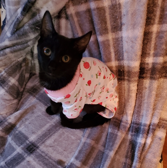 Bundle & Save.. - Picture 2 of 15